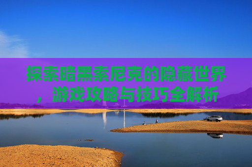 探索暗黑索尼克的隐藏世界，游戏攻略与技巧全解析