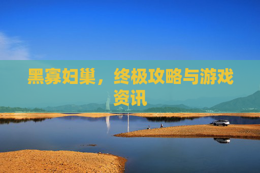 黑寡妇巢，终极攻略与游戏资讯