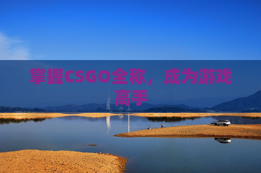 掌握CSGO全称，成为游戏高手