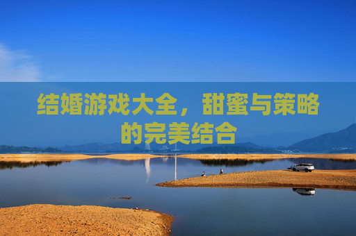 结婚游戏大全，甜蜜与策略的完美结合