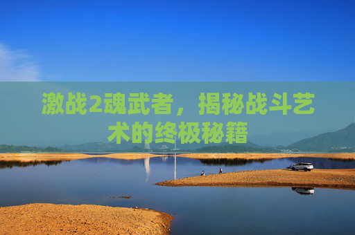 激战2魂武者，揭秘战斗艺术的终极秘籍