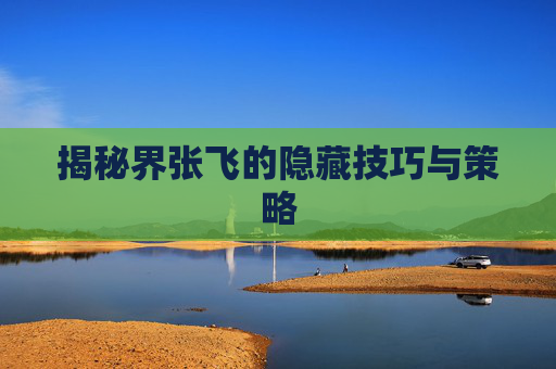 揭秘界张飞的隐藏技巧与策略