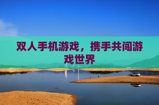 双人手机游戏，携手共闯游戏世界