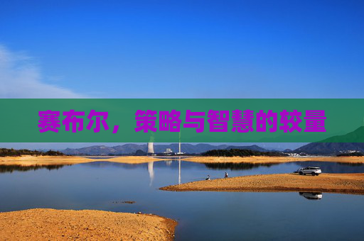 赛布尔，策略与智慧的较量