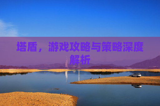 塔盾，游戏攻略与策略深度解析
