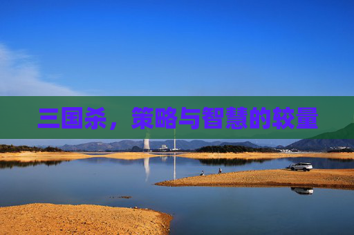 三国杀，策略与智慧的较量