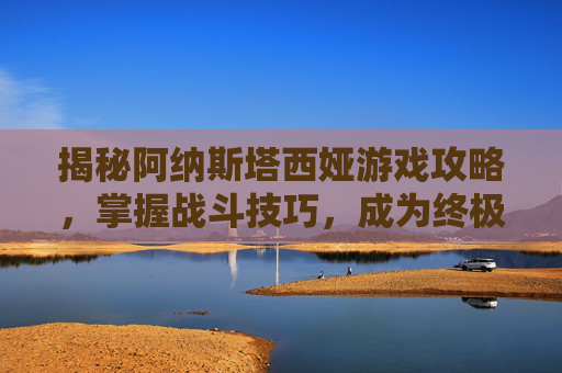 揭秘阿纳斯塔西娅游戏攻略，掌握战斗技巧，成为终极战士