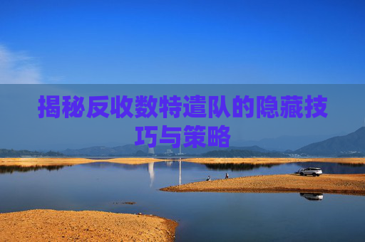 揭秘反收数特遣队的隐藏技巧与策略