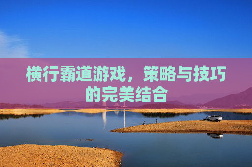 横行霸道游戏，策略与技巧的完美结合