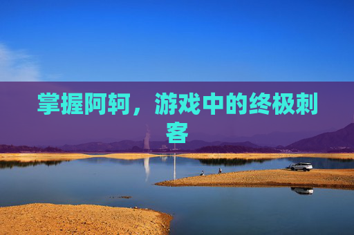 掌握阿轲，游戏中的终极刺客