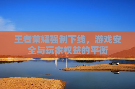 王者荣耀强制下线，游戏安全与玩家权益的平衡