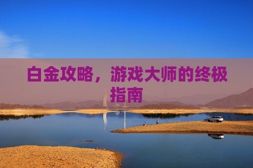 白金攻略，游戏大师的终极指南