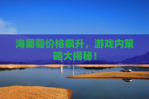 海葡萄价格飙升，游戏内策略大揭秘！