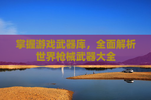 掌握游戏武器库，全面解析世界枪械武器大全