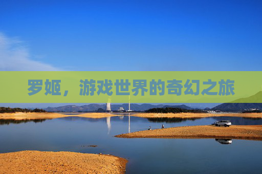 罗姬，游戏世界的奇幻之旅