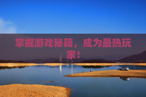 掌握游戏秘籍，成为最热玩家！