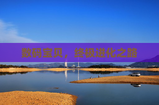 数码宝贝，终极进化之路