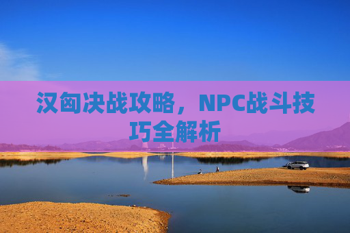 汉匈决战攻略，NPC战斗技巧全解析