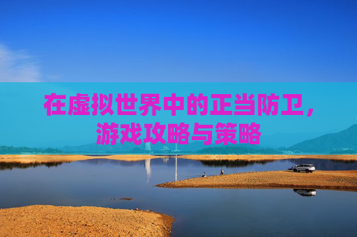 在虚拟世界中的正当防卫，游戏攻略与策略