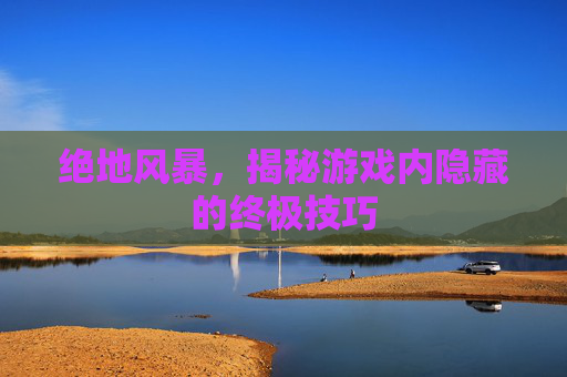 绝地风暴，揭秘游戏内隐藏的终极技巧