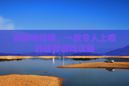 探索神经猫，一款令人上瘾的益智游戏攻略
