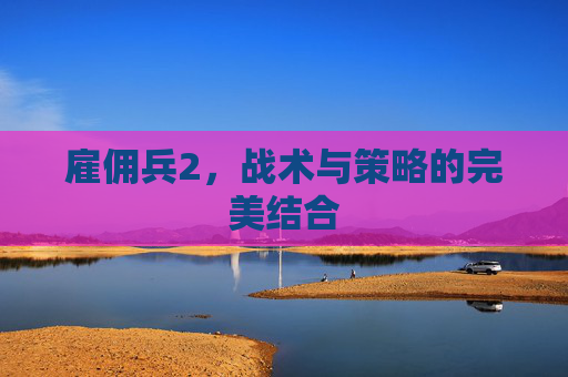 雇佣兵2，战术与策略的完美结合