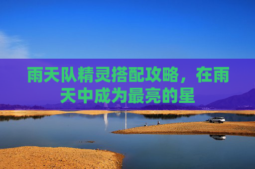 雨天队精灵搭配攻略，在雨天中成为最亮的星