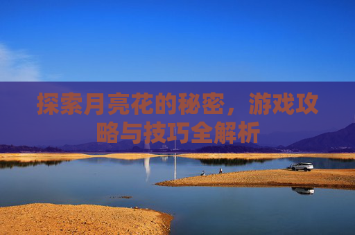 探索月亮花的秘密，游戏攻略与技巧全解析