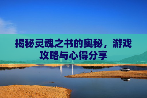 揭秘灵魂之书的奥秘，游戏攻略与心得分享
