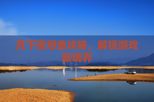 月下夜想曲攻略，解锁游戏新境界