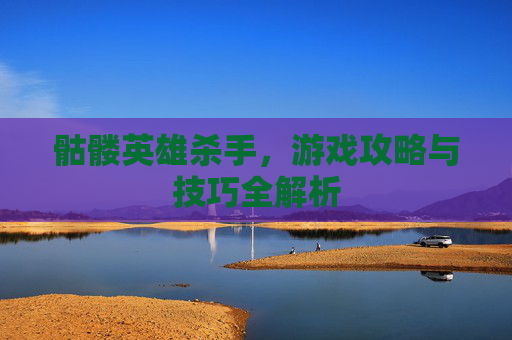 骷髅英雄杀手，游戏攻略与技巧全解析
