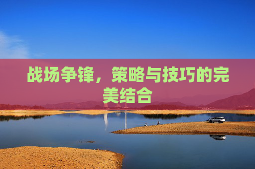战场争锋，策略与技巧的完美结合