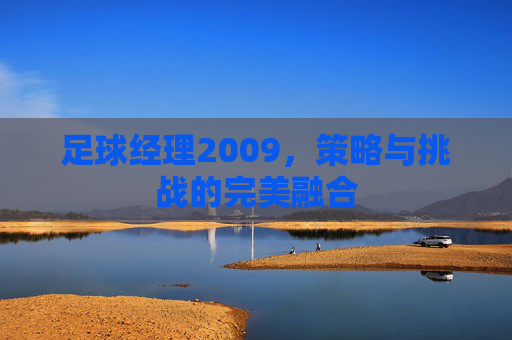 足球经理2009，策略与挑战的完美融合