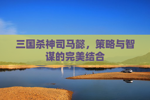 三国杀神司马懿,策略与智谋的完美结合 三国杀神司马懿,策略与智谋的完美结合