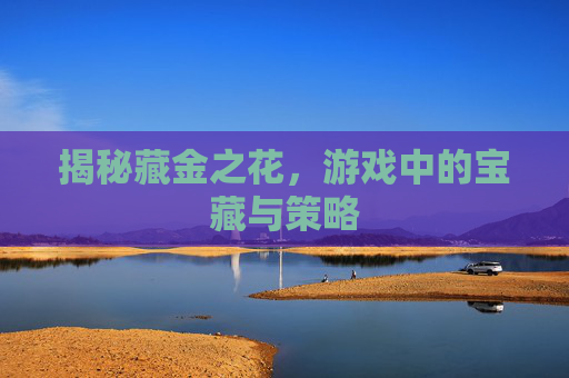 揭秘藏金之花，游戏中的宝藏与策略