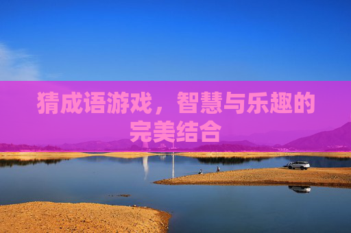 猜成语游戏，智慧与乐趣的完美结合