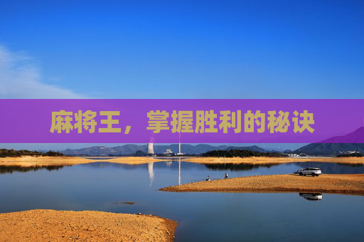 麻将王，掌握胜利的秘诀