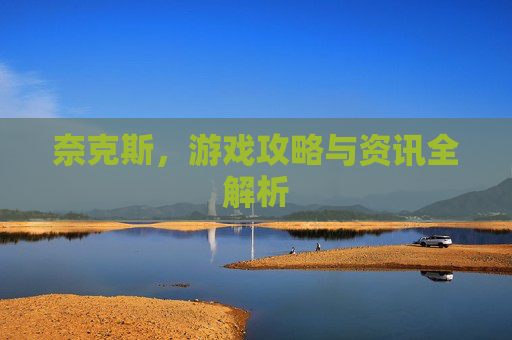奈克斯，游戏攻略与资讯全解析