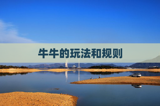 牛牛的玩法和规则