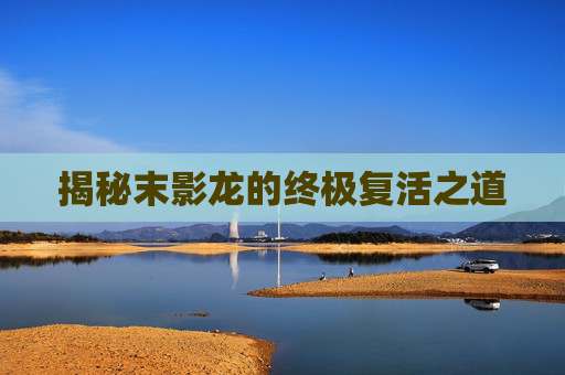 揭秘末影龙的终极复活之道