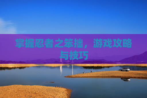 掌握忍者之笨拙，游戏攻略与技巧