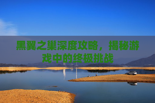 黑翼之巢深度攻略,揭秘游戏中的终极挑战 黑翼之巢深度攻略,揭秘游戏中的终极挑战