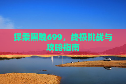探索黑魂699，终极挑战与攻略指南