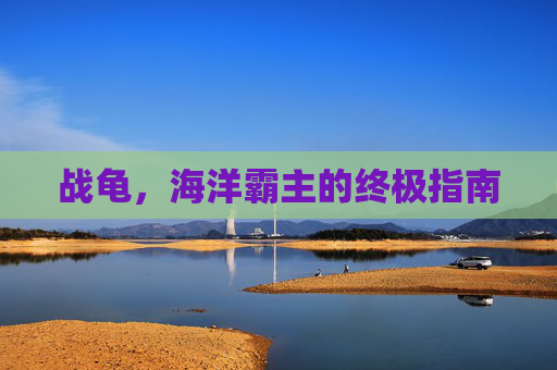 战龟，海洋霸主的终极指南