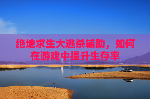 绝地求生大逃杀辅助，如何在游戏中提升生存率