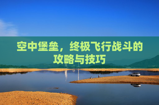 空中堡垒，终极飞行战斗的攻略与技巧