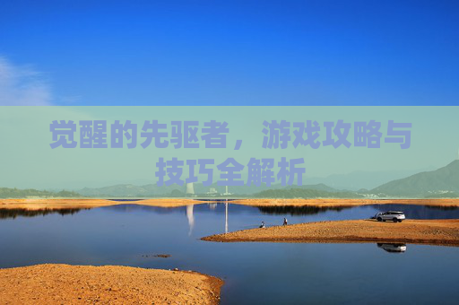 觉醒的先驱者，游戏攻略与技巧全解析