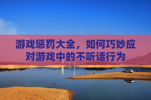 游戏惩罚大全，如何巧妙应对游戏中的不听话行为