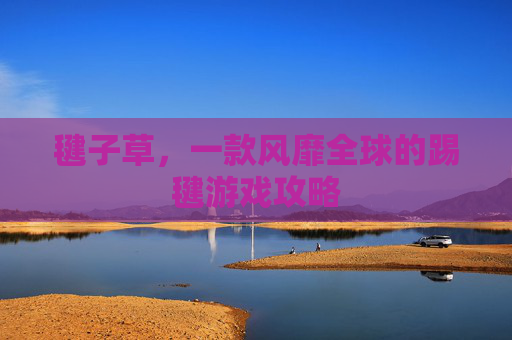 毽子草，一款风靡全球的踢毽游戏攻略