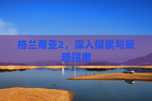 格兰蒂亚2，深入探索与策略指南